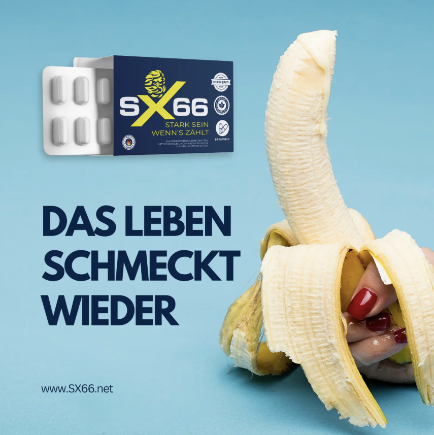 SX66 Netherlands