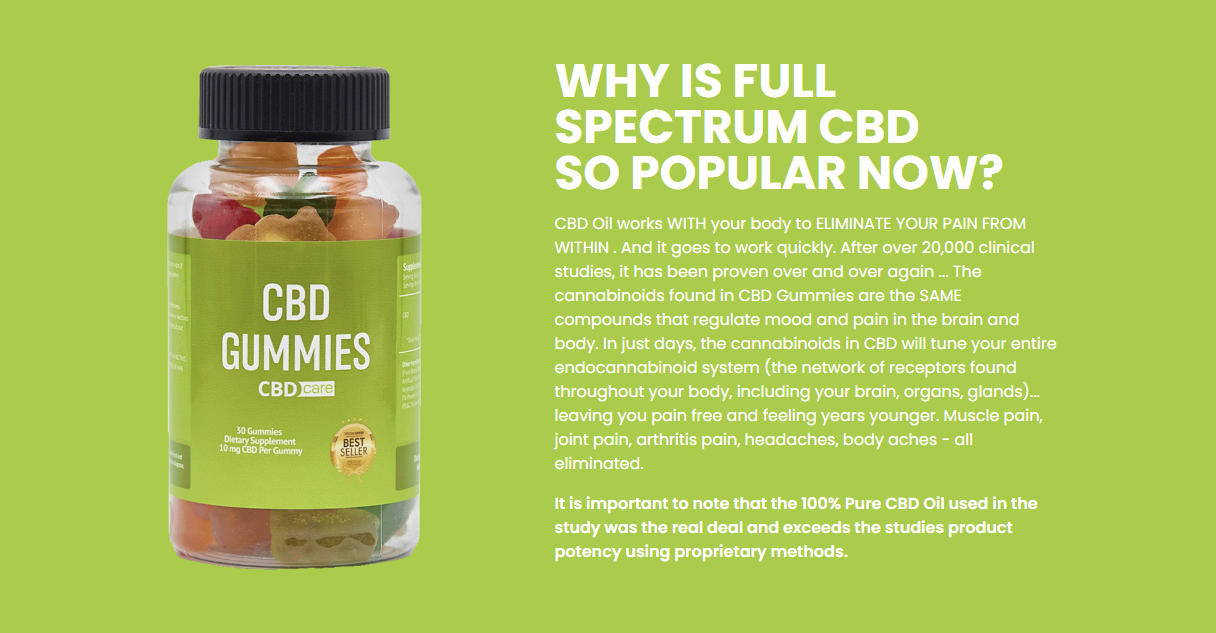 Life Support Labs CBD Gummies